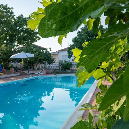 Case de vacanță Pietra Mare Palaio Eleftherochori